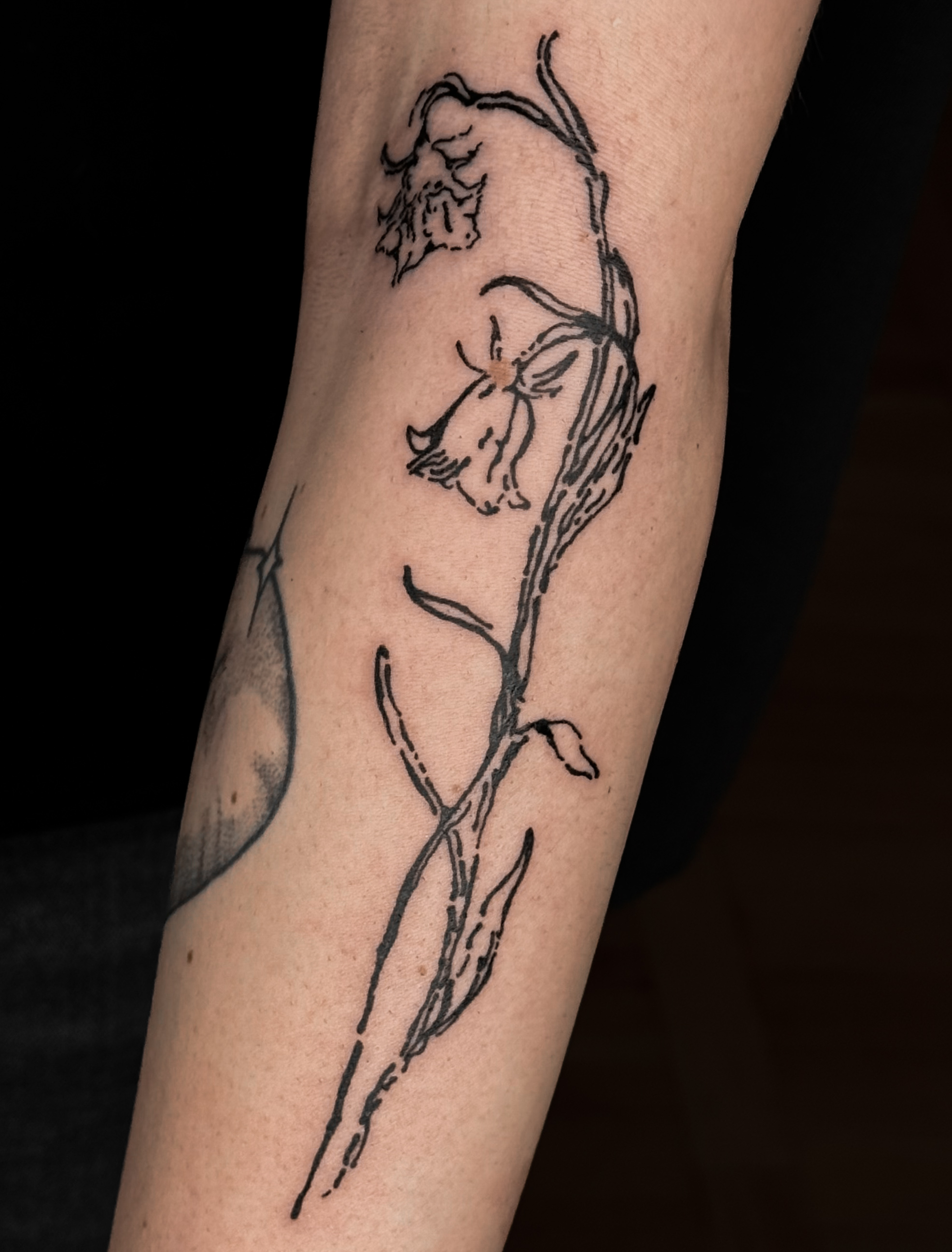 Ghost flower — tatuaż fine-line, przedramię , Wrocław